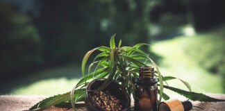 Susz CBD