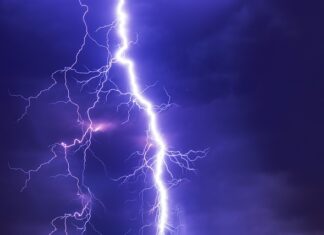 Czy w Bałtyku są groźne ryby?