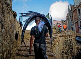 Jak nosić psa po schodach?