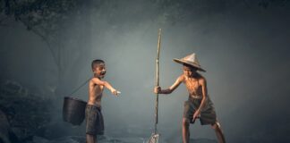 Jaka jest najniebezpieczniejsza ryba w Polsce?