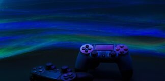 Jak zabezpieczyć drewniane schody przed psem?