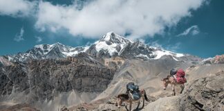 Dlaczego muli się nie otwieraja?