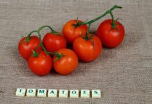 kurs angielskiego