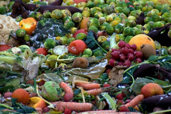 odbiór odpadów gastronomicznych